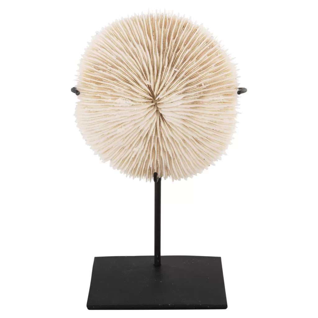 2103202465fc45e8b5313