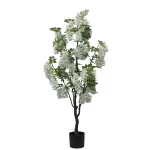 Διακοσμητικό φυτό Bean flowers σε γλάστρα λευκό pp Υ125εκ