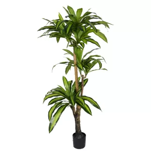 Διακοσμητικό φυτό Dracaena I σε γλάστρα πράσινο pp Υ170εκ