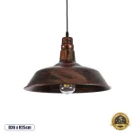 RAY Vintage Κρεμαστό Φωτιστικό Οροφής με Ντουί 1 x E27 AC 220-240V IP20 - Χάλκινο Εφέ Σκουριάς - Μ36 x Π36 x Υ25cm