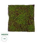Artificial Garden BRYOPHYTA Τεχνητό Διακοσμητικό Πάνελ Φυλλωσιάς - Κάθετος Κήπος Βρύα Μ100 x Π100 x Υ5cm