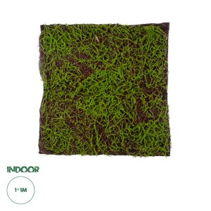 Artificial Garden BRYOPHYTA Τεχνητό Διακοσμητικό Πάνελ Φυλλωσιάς - Κάθετος Κήπος Βρύα Μ100 x Π100 x Υ5cm