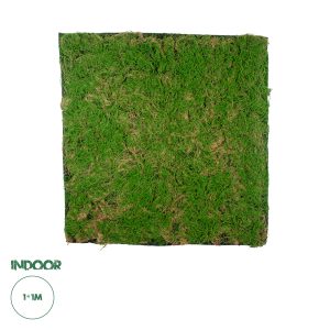 Artificial Garden BRYOPHYTA Τεχνητό Διακοσμητικό Πάνελ Φυλλωσιάς - Κάθετος Κήπος Βρύα Μ100 x Π100 x Υ3cm