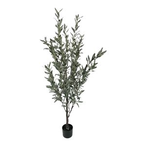 Διακοσμητικό φυτό Olive tree II σε γλάστρα πράσινο pp Υ160εκ