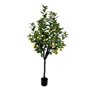 Διακοσμητικό φυτό Lemon tree σε γλάστρα πράσινο pp Υ180εκ