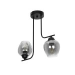 GLOSSA Vintage Φωτιστικό Οροφής με Ντουί 2 x E27 AC 220-240V IP20 - Μαύρο & Μαύρο Φιμέ - Μ40 x Π15 x Υ17cm