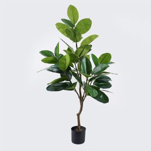 Διακοσμητικό φυτό σε γλάστρα Ficus Lyrata πράσινο Φ70x130εκ