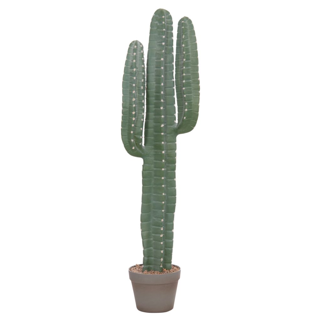 221120256921ec463cc8c