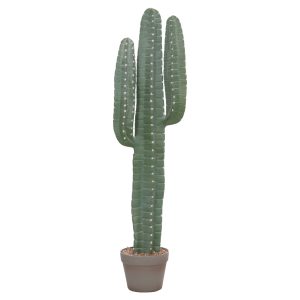 ΔΙΑΚΟΣΜΗΤΙΚΟ ΣΥΝΘΕΤΙΚΟ ΦΥΤΟ ΚΑΚΤΟΣ ΜΕ ΓΛΑΣΤΡΑ 17,5x26x103Υεκ.