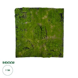 Artificial Garden BRYOPHYTA Τεχνητό Διακοσμητικό Πάνελ Φυλλωσιάς - Κάθετος Κήπος Βρύα Μ100 x Π100 x Υ4cm