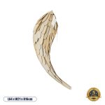 GOURAMI Boho Φωτιστικό Τοίχου – Απλίκα με Ντουί 1 x E27 AC