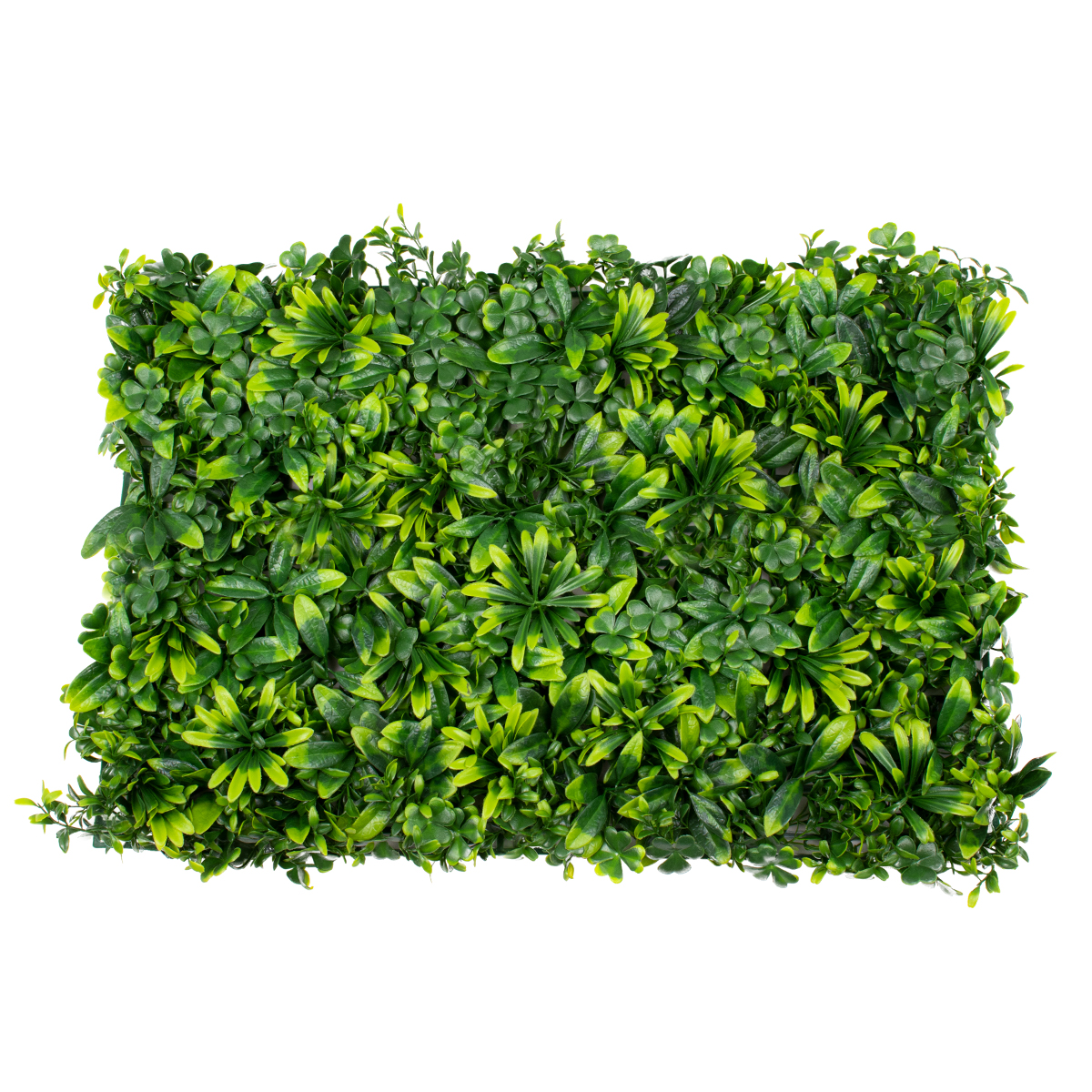 Artificial - Συνθετικό Τεχνητό Διακοσμητικό Πάνελ Φυλλωσιάς - Κάθετος Κήπος Τριφύλλι - Νάνος Δάφνη - Περεσκία Πράσινο Μ60 x Υ40 x Π8cm