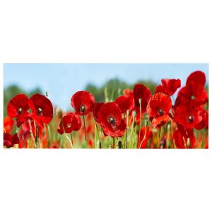 ΠΙΝΑΚΑΣ TOIXOY ΣΕΙΡΑ GOBI ΕΚΤΥΠΩΜΕΝΟΣ ΚΑΜΒΑΣ 120x3(πάχος)x50Υεκ.